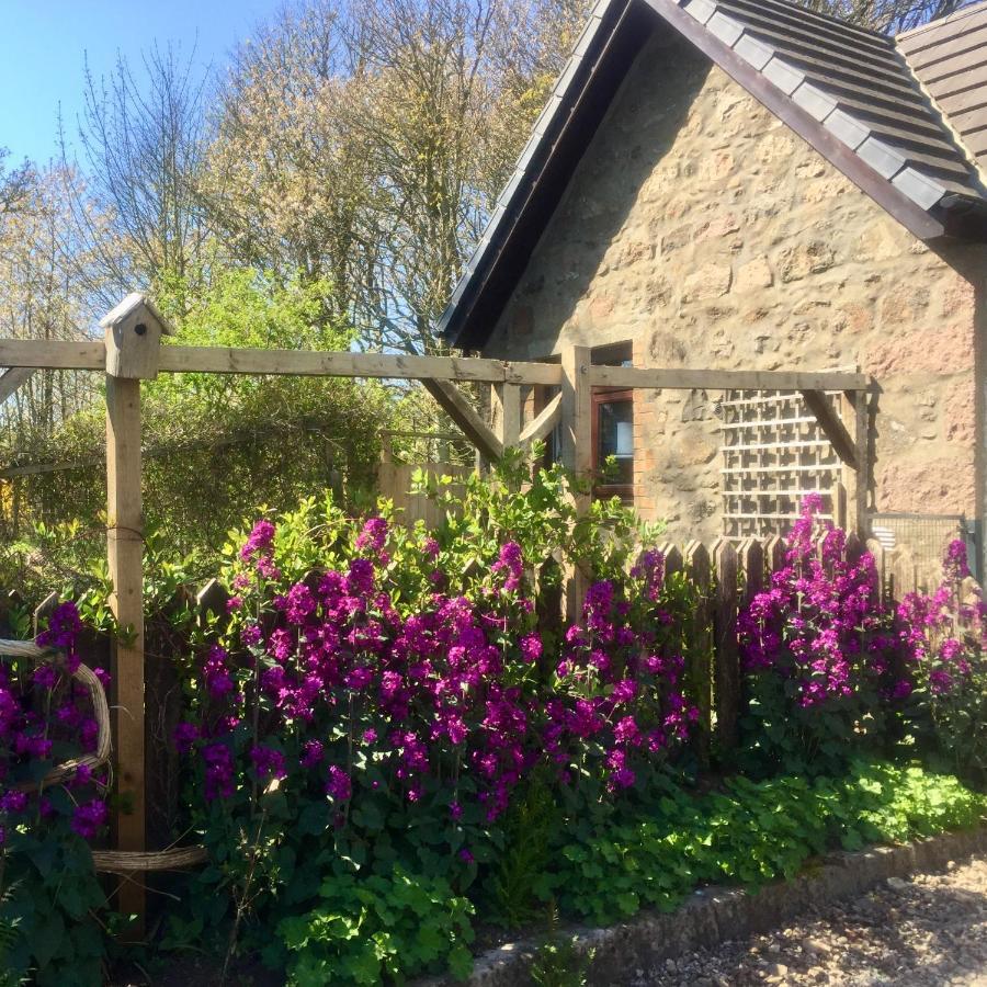Gallery Cottage Aberdeen Buitenkant foto